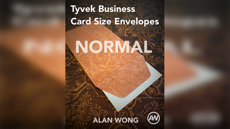 Tyvek Business Card Size Envelopes (10 pk.)
