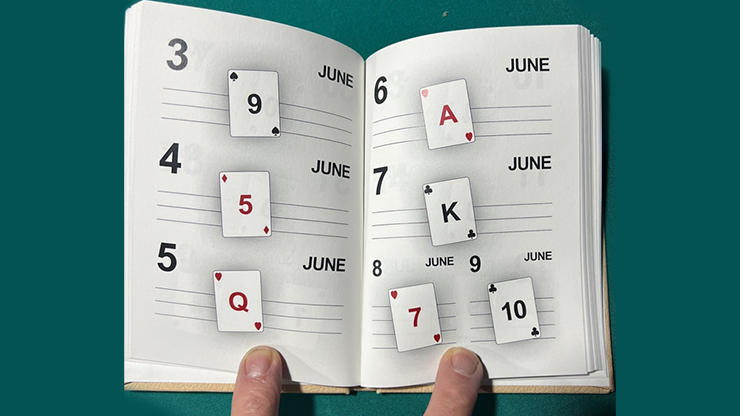 LS Diary