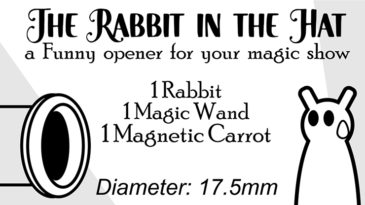 The Rabbit In the Hat