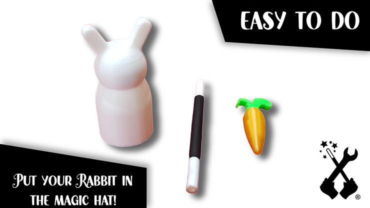 The Rabbit In the Hat