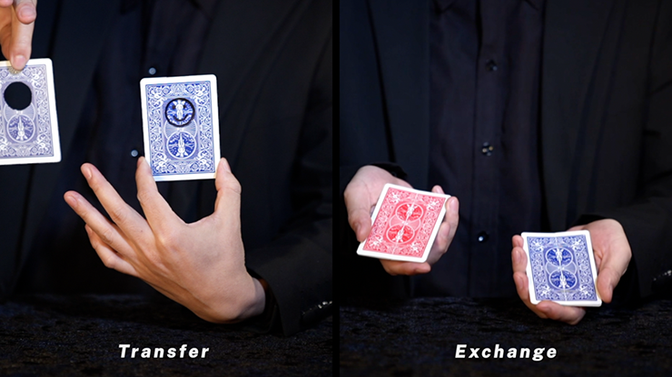 The Card Craftsman