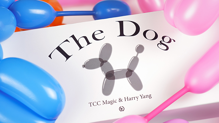 The Dog, photo 6