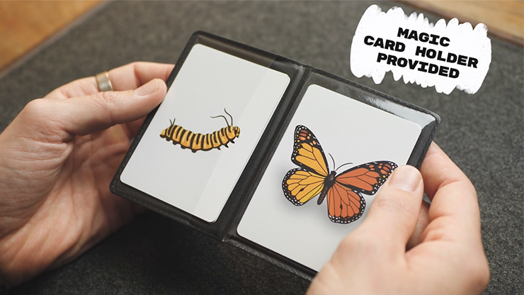 Caterfly