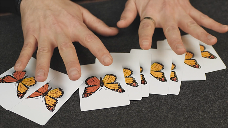 Caterfly