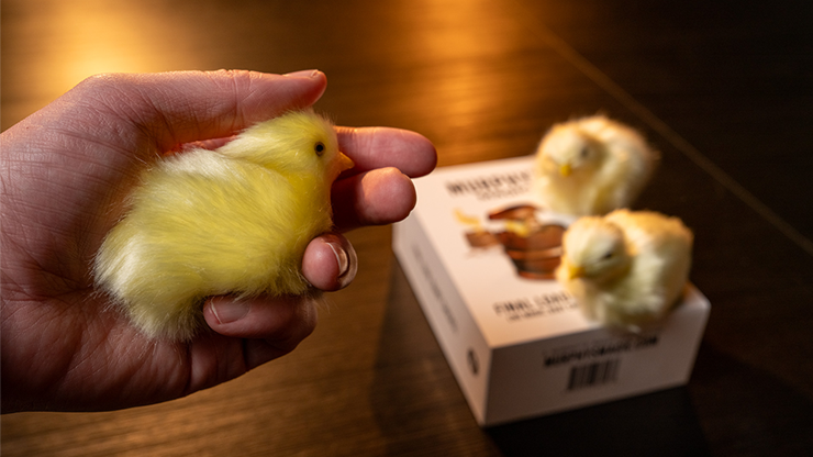 The Final Load (Baby Chicks)