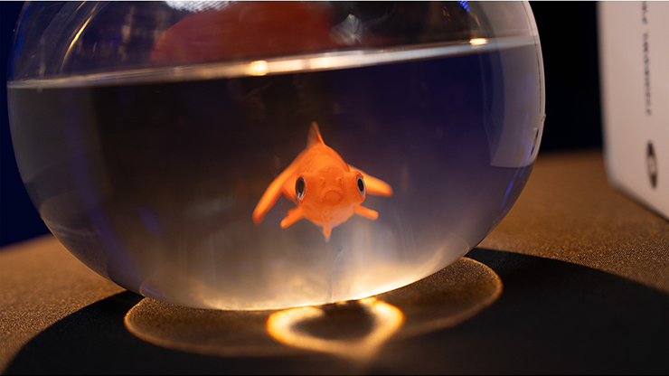 Fishbowl Production