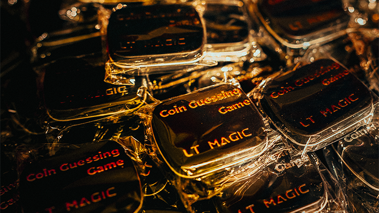 Coin Guessing Game