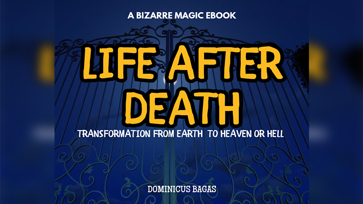 Life After Death (eBook)