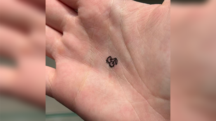Cherries Stamp for Double Cross (for Fragrance by Calix)