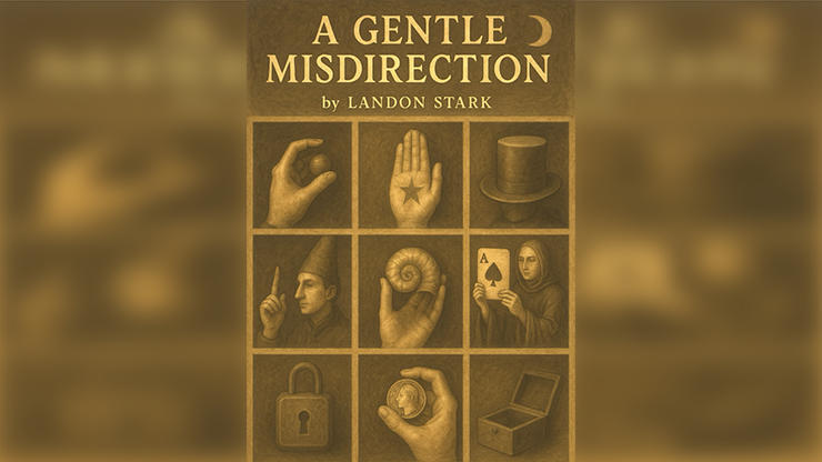 A Gentle Misdirection (eBook)