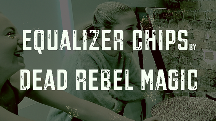 Equalizer Chips
