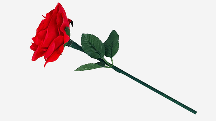 Reborn Rose
