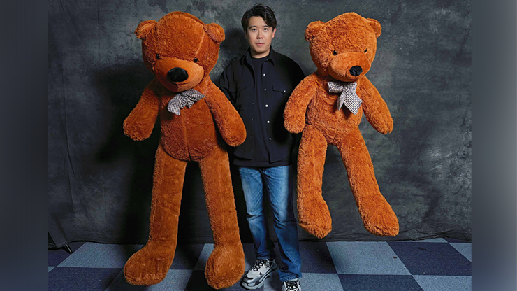 Teddy Bear Appearance