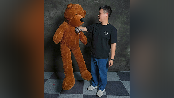 Teddy Bear Appearance