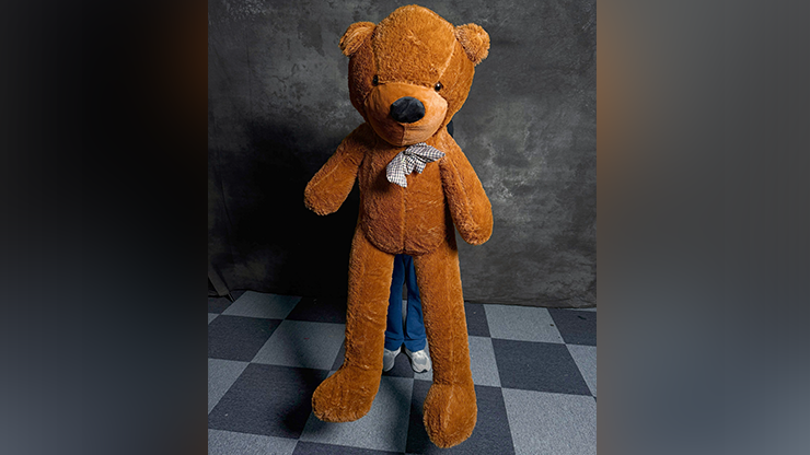 Teddy Bear Appearance