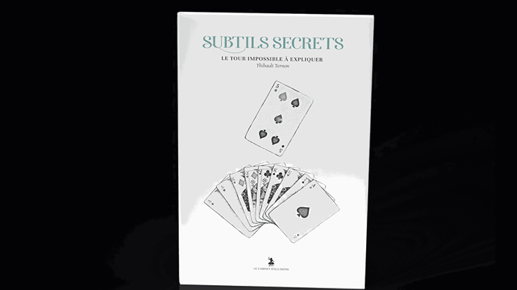 Subtle Secrets 2