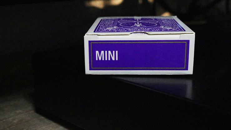 Mini Bicycle Cards