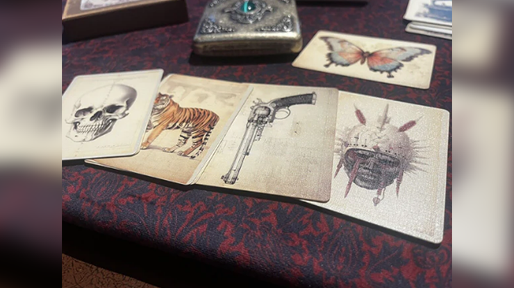 The Papilio Experiment