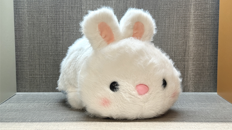 Morphing Plush
