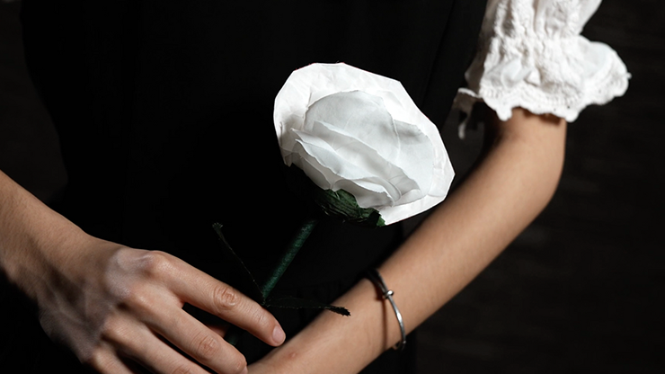 Fantasy Rose
