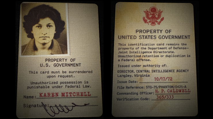 Gemini Files