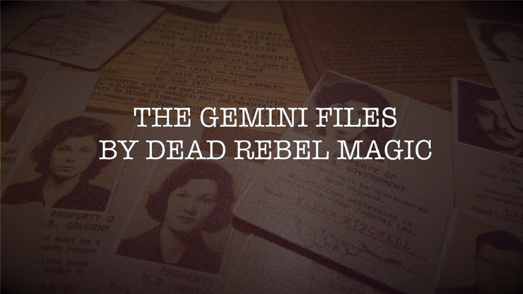 Gemini Files