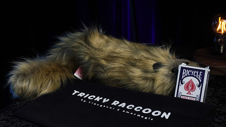 Tricky Raccoon
