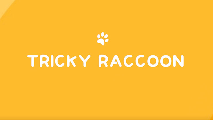 Tricky Raccoon