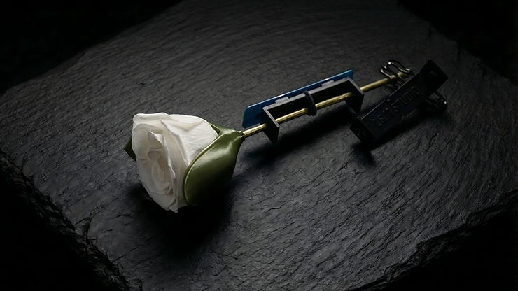 Project H: Rose Holder