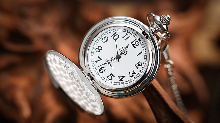 The Gemini Watch