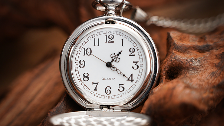 The Gemini Watch