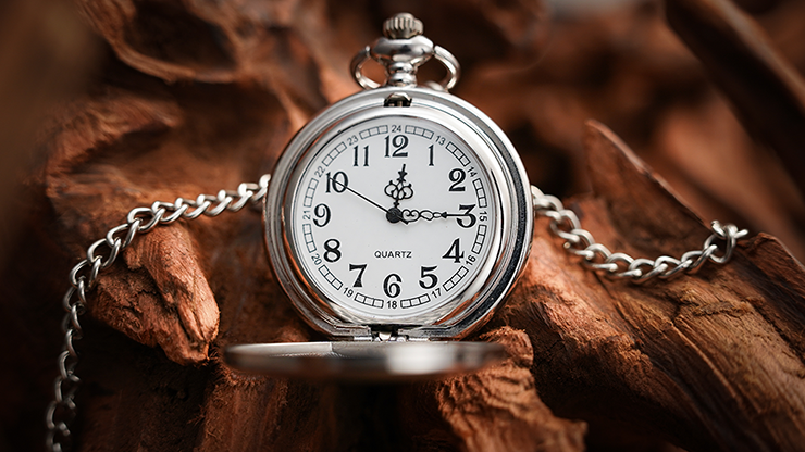 The Gemini Watch