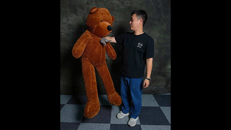 Teddy Bear Appearance