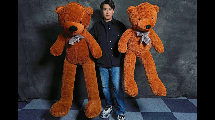 Teddy Bear Appearance