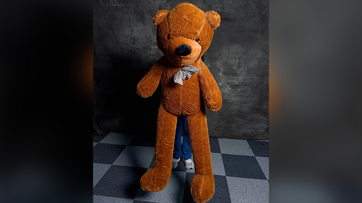 Teddy Bear Appearance