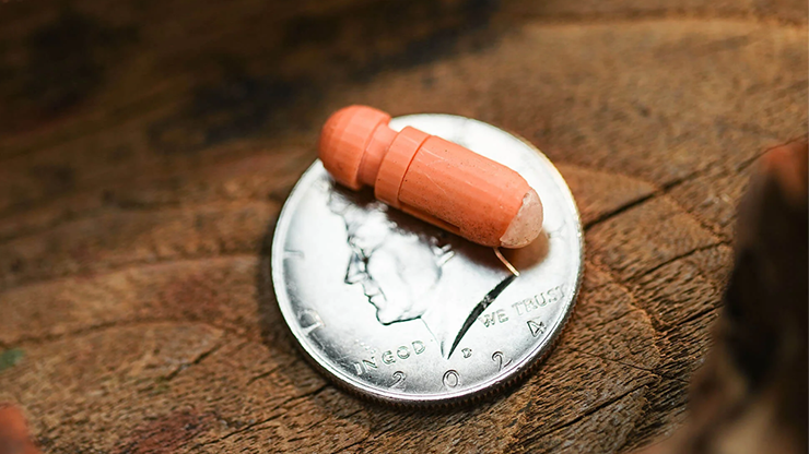 Capsule