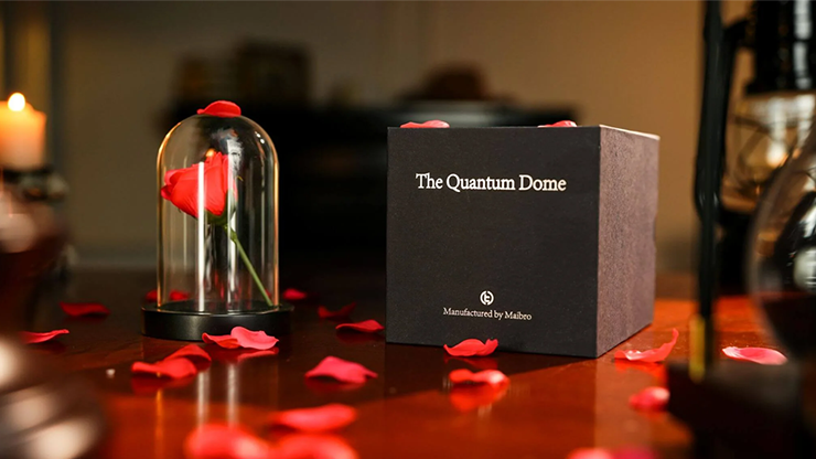 The Quantum Dome