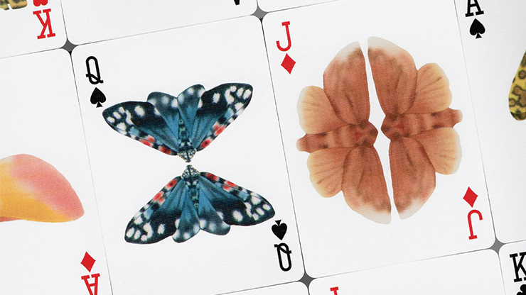 Moths (Stripe Edition)