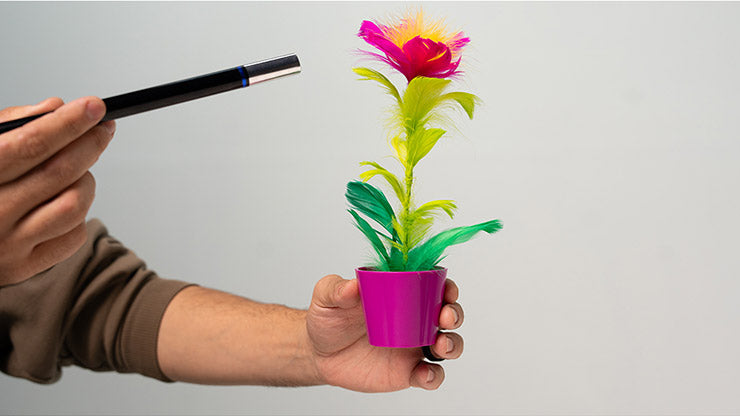 Miracle Wand to Flower