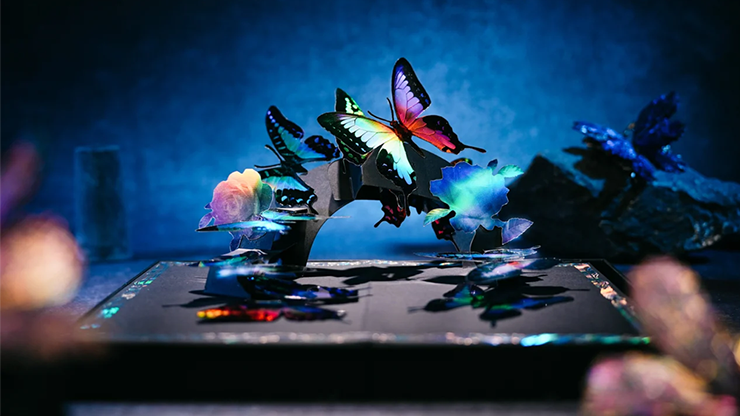 Morpho V2 Playing Cards Collection Boxset, photo 3