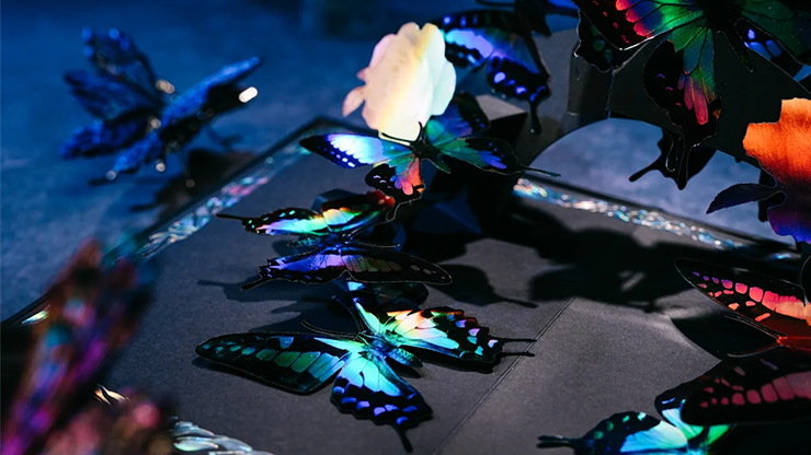 Morpho V2 Playing Cards Collection Boxset, photo 6