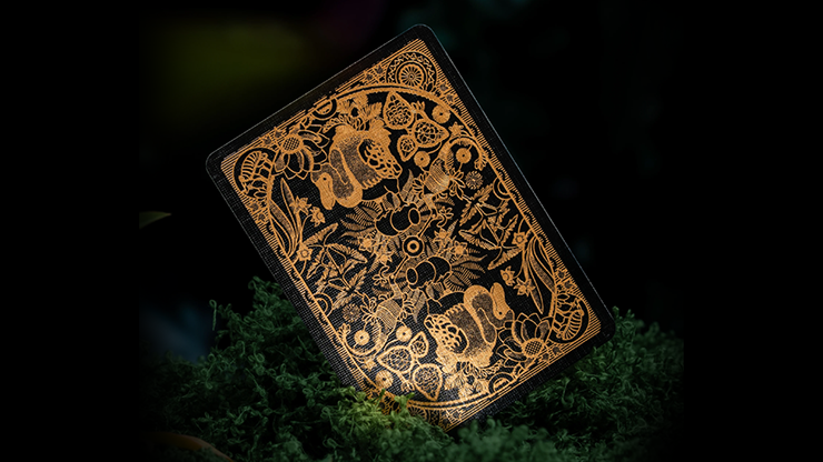 Moooi Collector's Edition