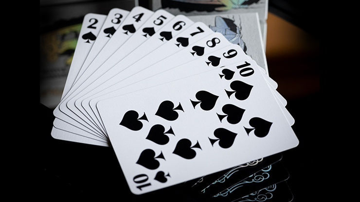 FULTON PRESENTS STEAMBOAT WILLIE PLAYING CARDS, photo 5