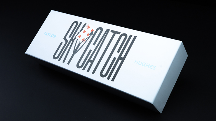 Sky Catch