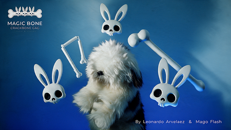 Magic Bones