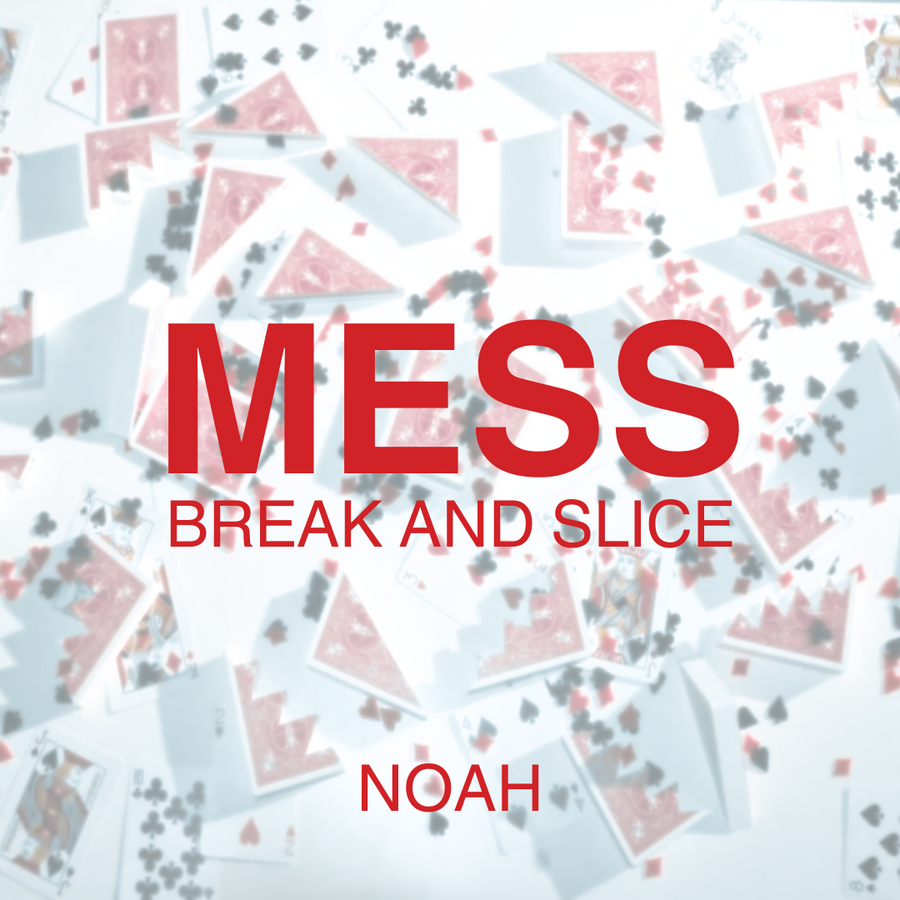 Mess - Noah