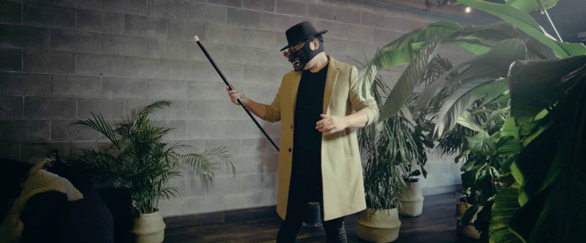 The Vanishing Cane