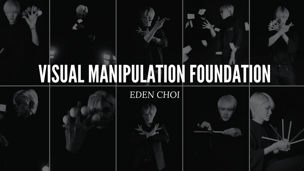 Visual Manipulation Foundation - Eden Choi
