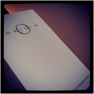 Origin (eBook)