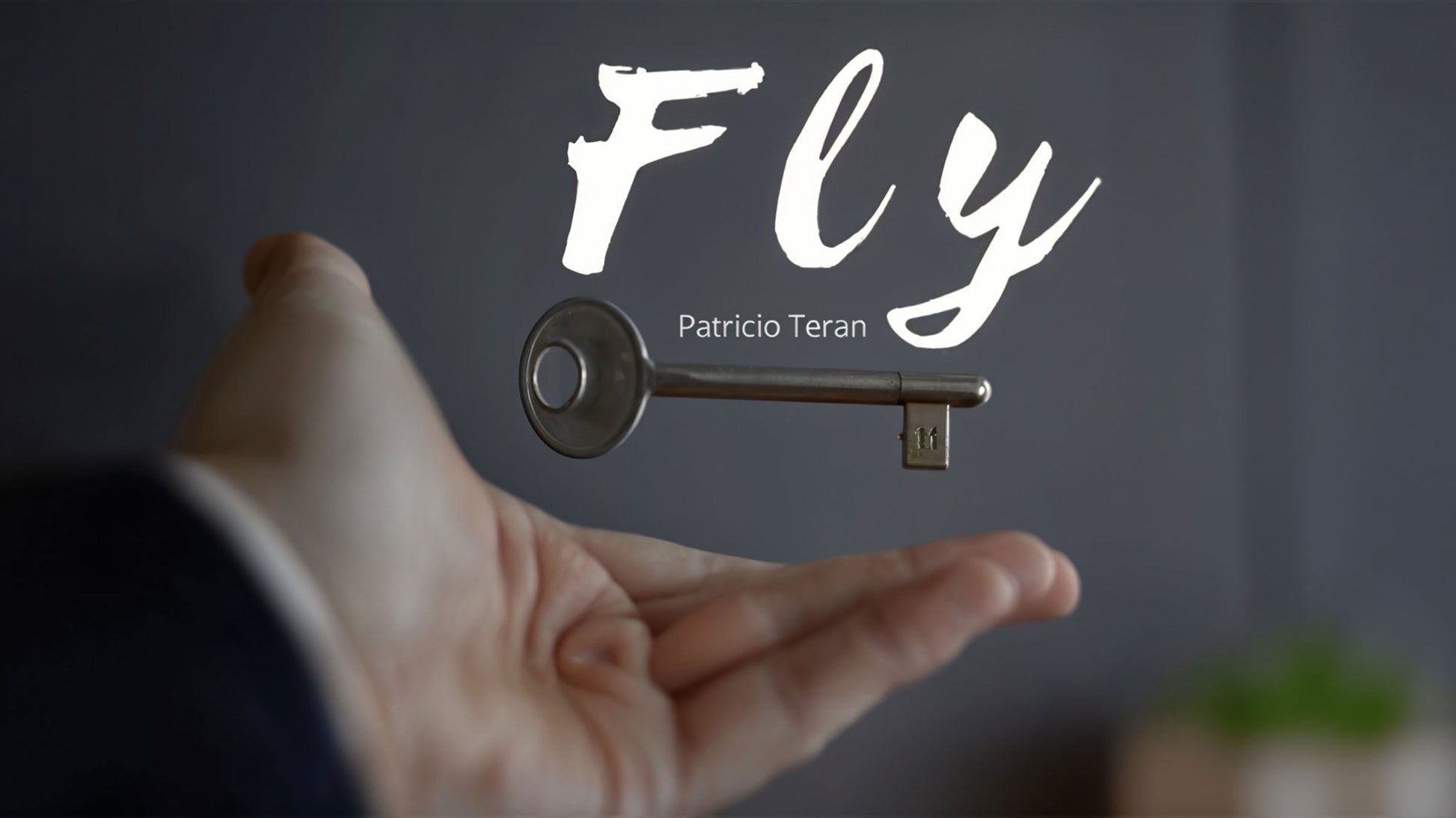 Fly - Patricio Teran - The Online Magic Store